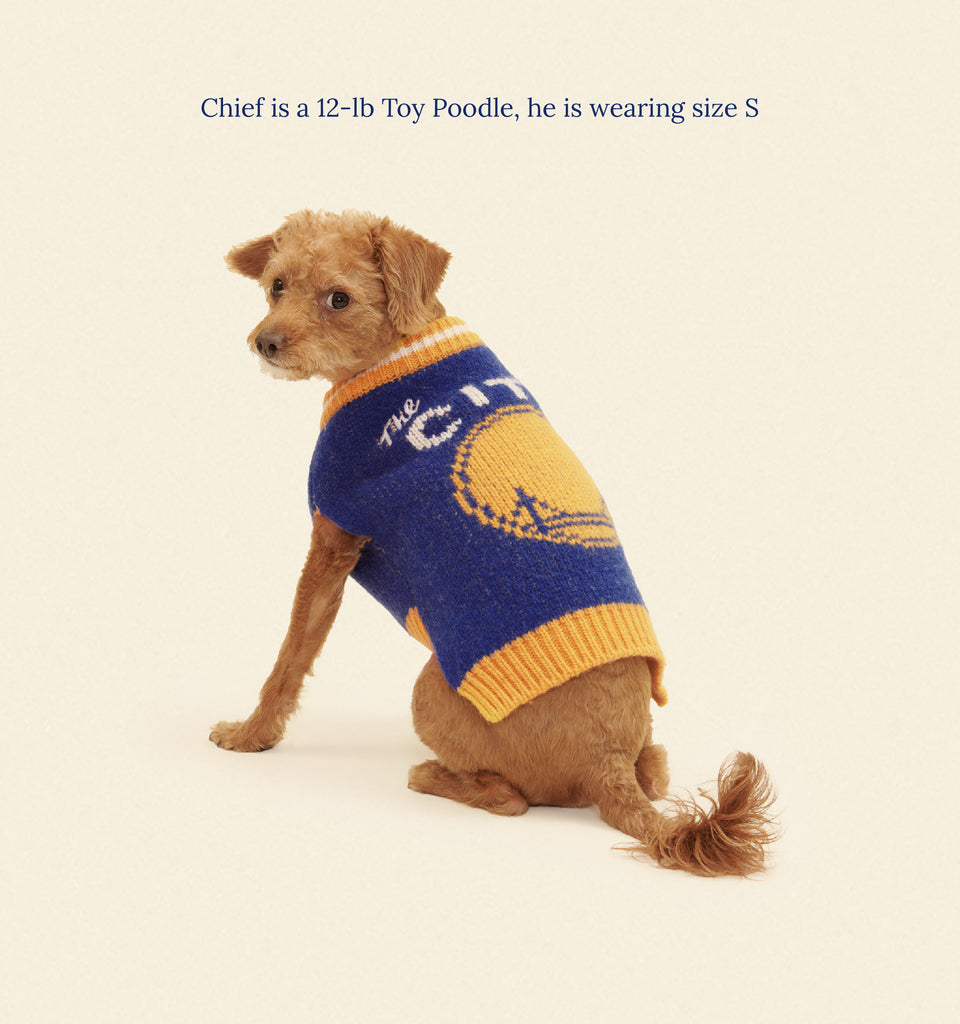 Little Beast Dog Sweater Golden State Warriors Dog Sweater - NBA