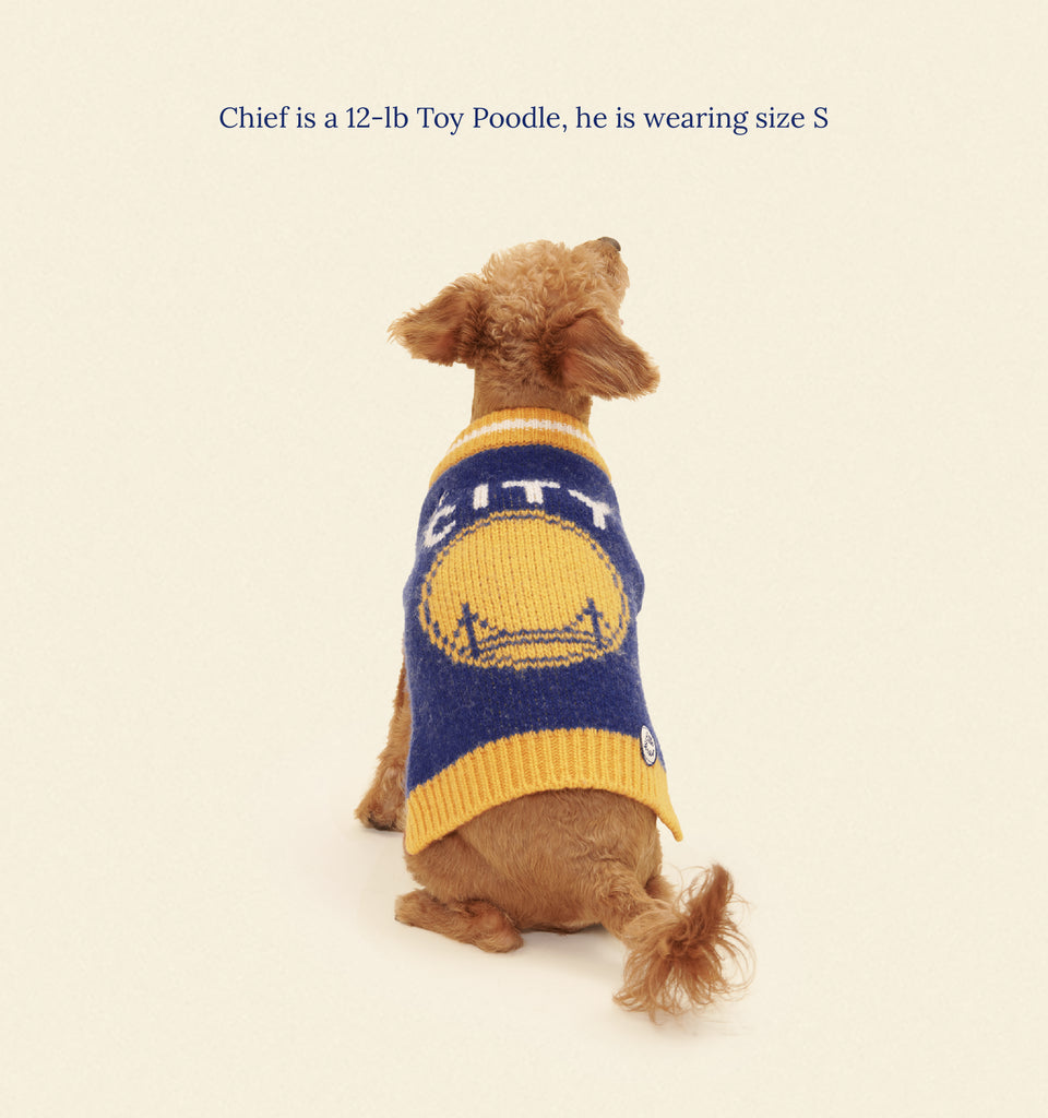 Little Beast Dog Sweater Golden State Warriors Dog Sweater - NBA