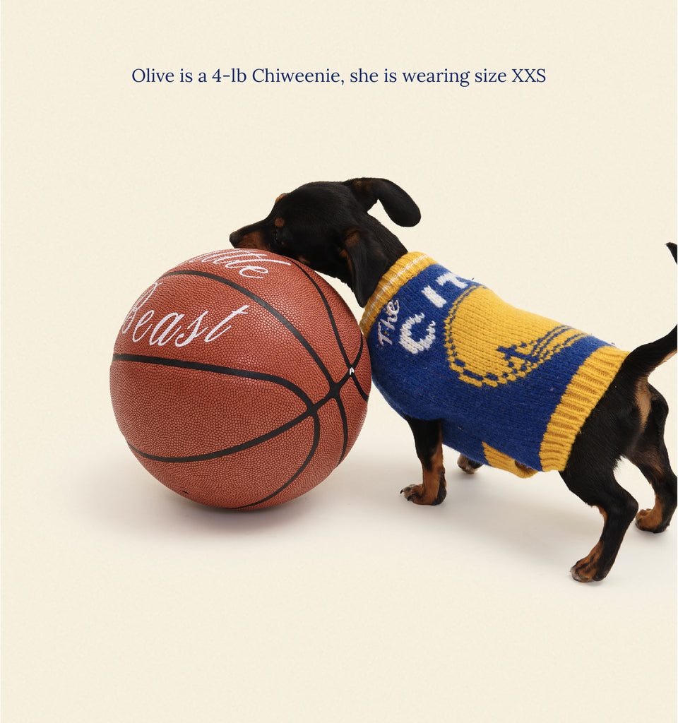 Nba dog jersey hotsell