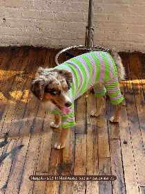 Little Beast Dog Stripe Onesie Grape Juice Onesie