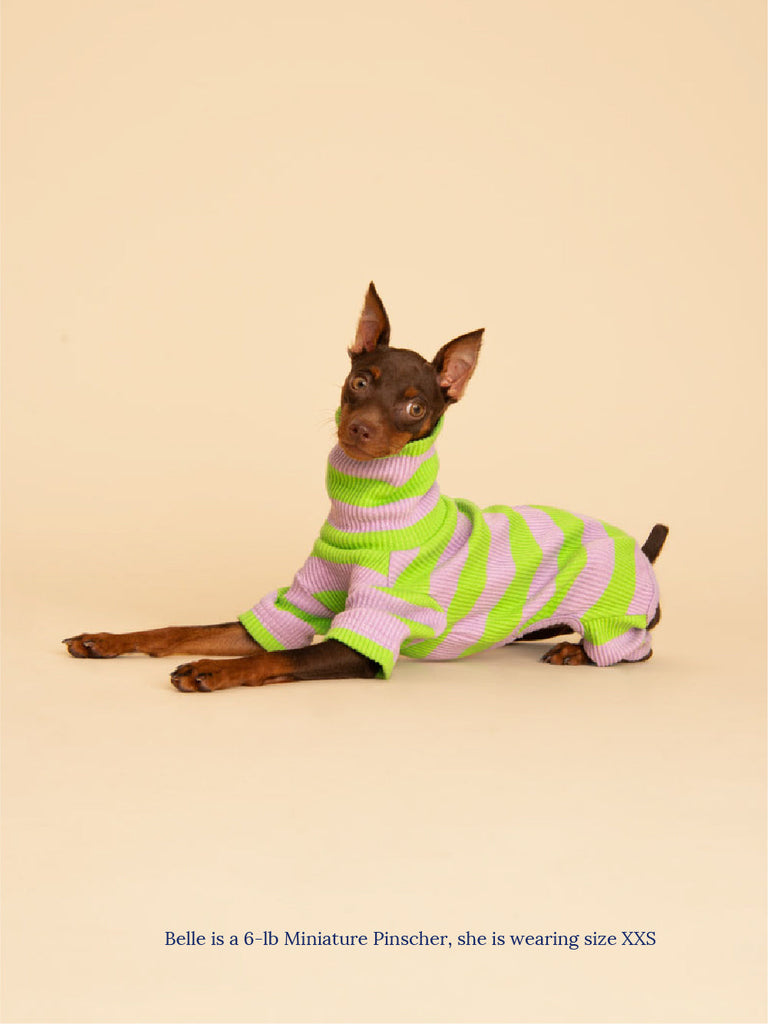 Little Beast Dog Stripe Onesie Grape Juice Onesie