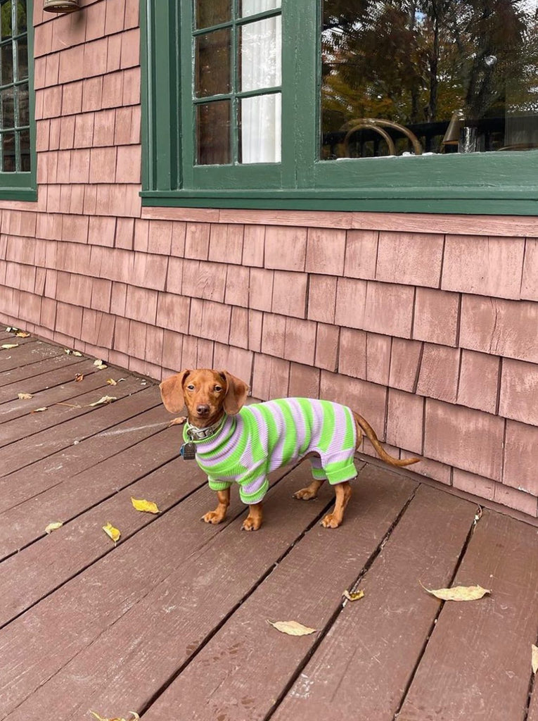 Little Beast Dog Stripe Onesie Grape Juice Onesie