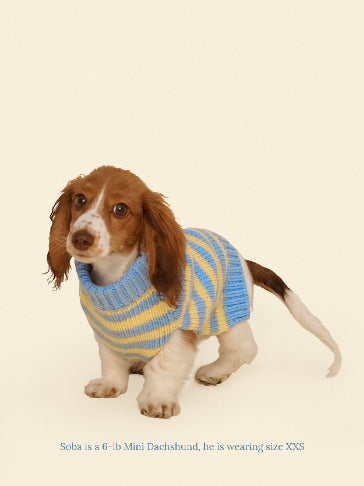 Little Beast Dog Sweater Harmony Sweater
