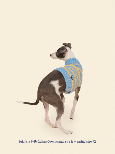 Little Beast Dog Sweater Harmony Sweater
