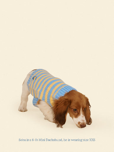 Little Beast Dog Sweater Harmony Sweater