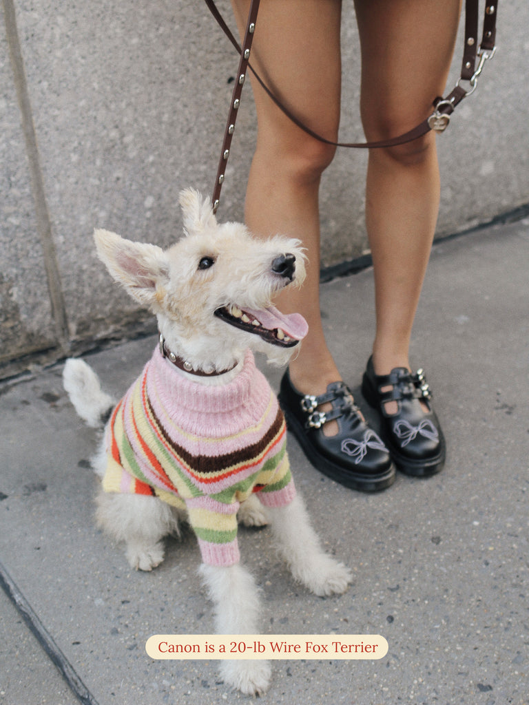 Little Beast Dog Leash ONESIZE Hazel Button Leash x Lisa Says Gah