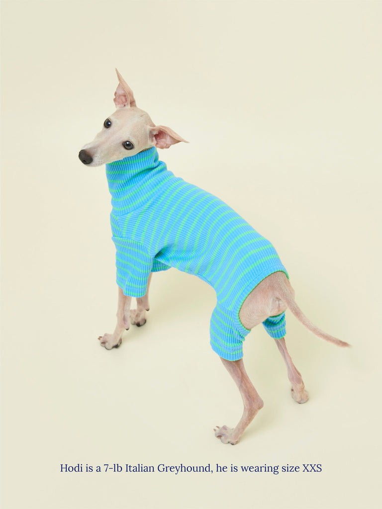 Little Beast Dog Stripe Onesie Hella Cool Onesie