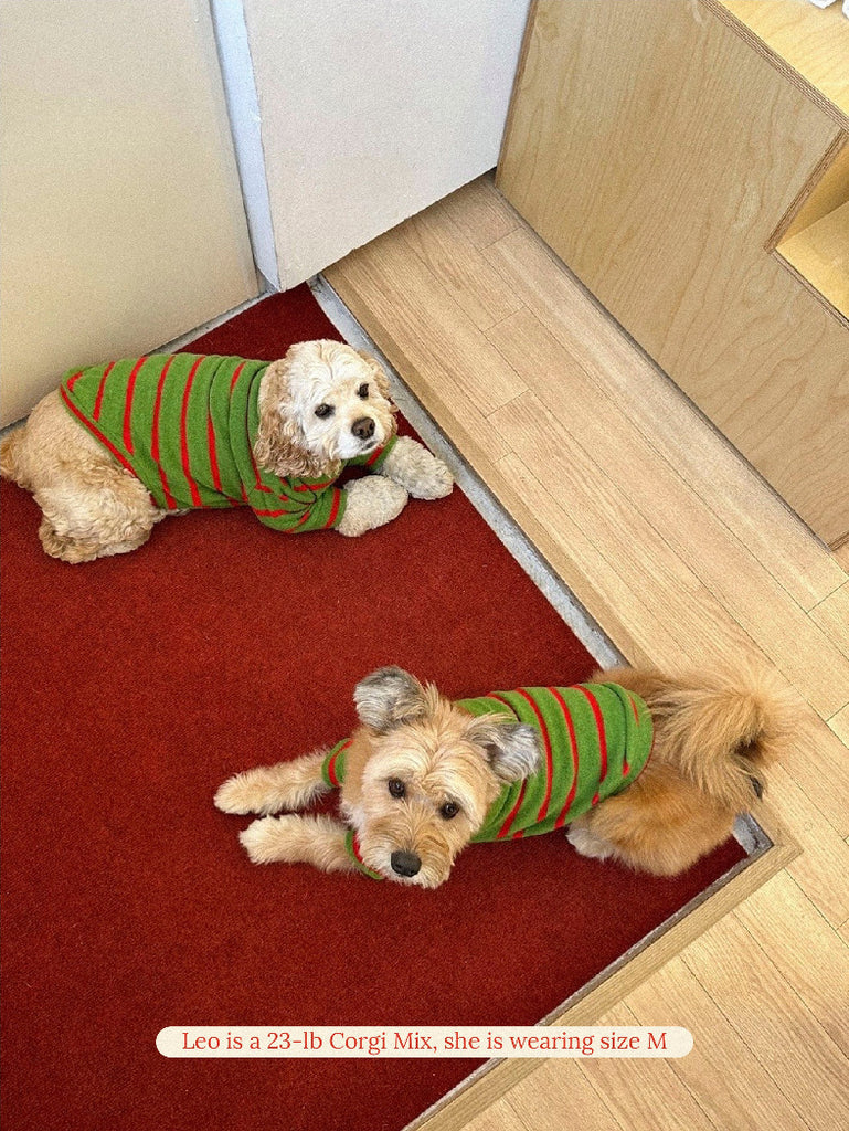 Little Beast Dog Stripe Shirt Holly Jolly Sweatshirt