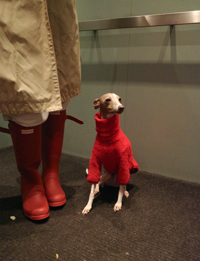 Little Beast Dog Fleece Shirt Hot Sauce Fleece Shirt