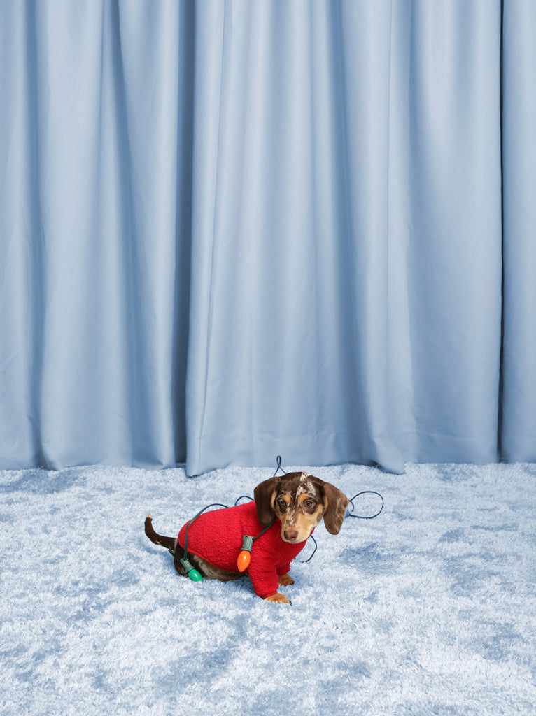 Little Beast Dog Fleece Shirt Hot Sauce Fleece Shirt