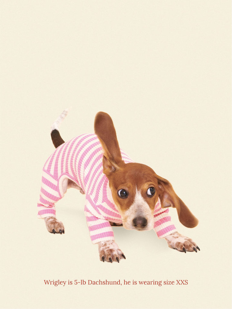 Little Beast Dog Onesie Hug Me Onesie