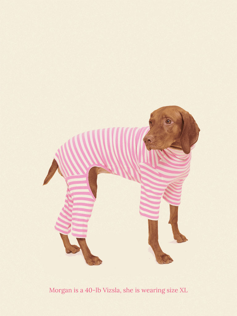 Little Beast Dog Onesie Hug Me Onesie