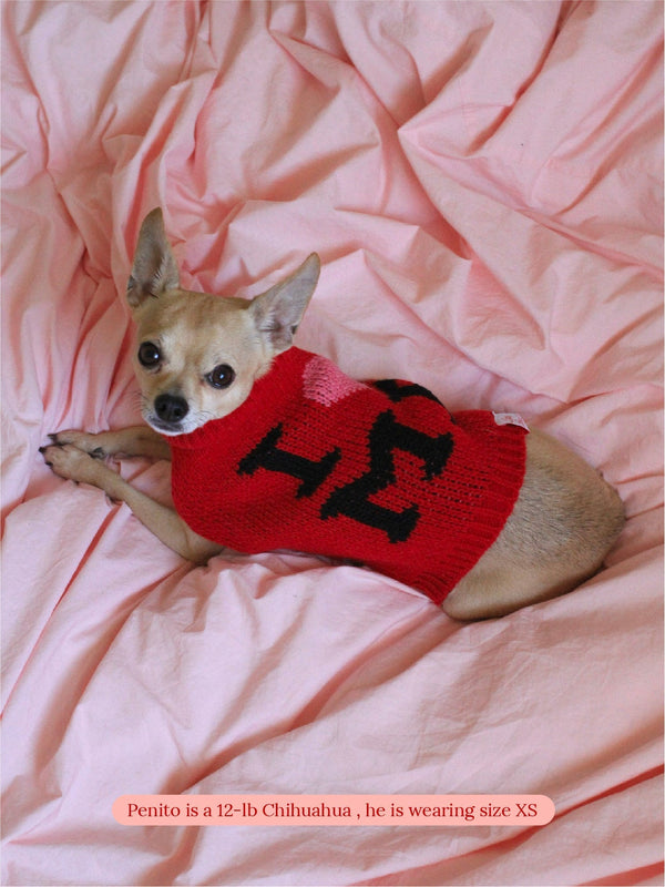 Little Beast Dog Sweater I LOVE ME Sweater