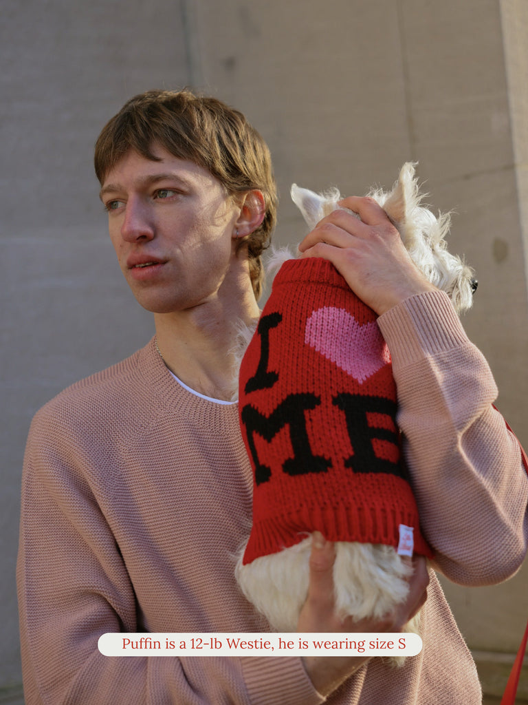 I LOVE ME Sweater – Little Beast - Main Image