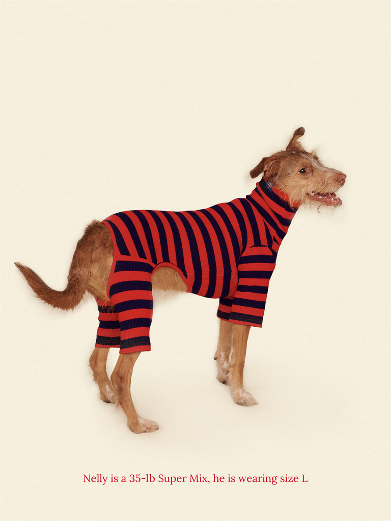Little Beast Dog Onesie Ivy League Onesie