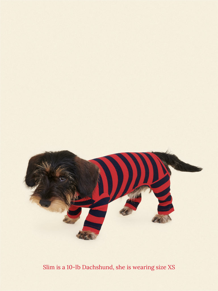 Little Beast Dog Onesie Ivy League Onesie