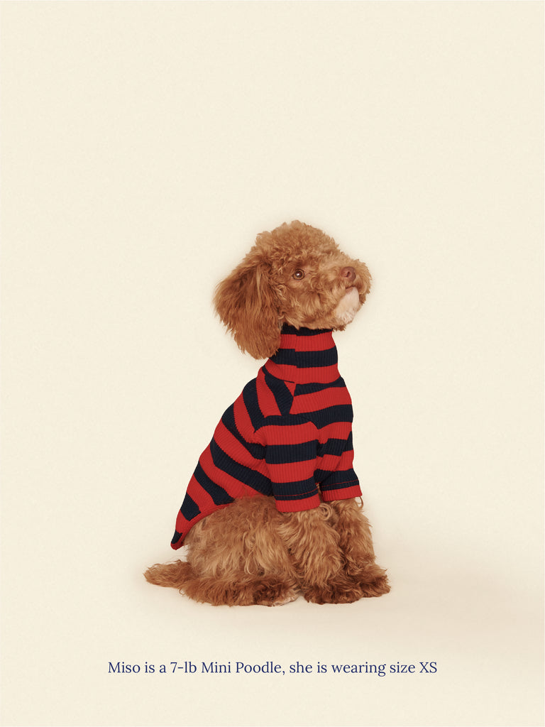 Little Beast Dog Shirt Ivy League Shirt