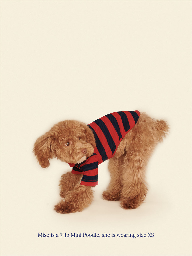 Little Beast Dog Shirt Ivy League Shirt