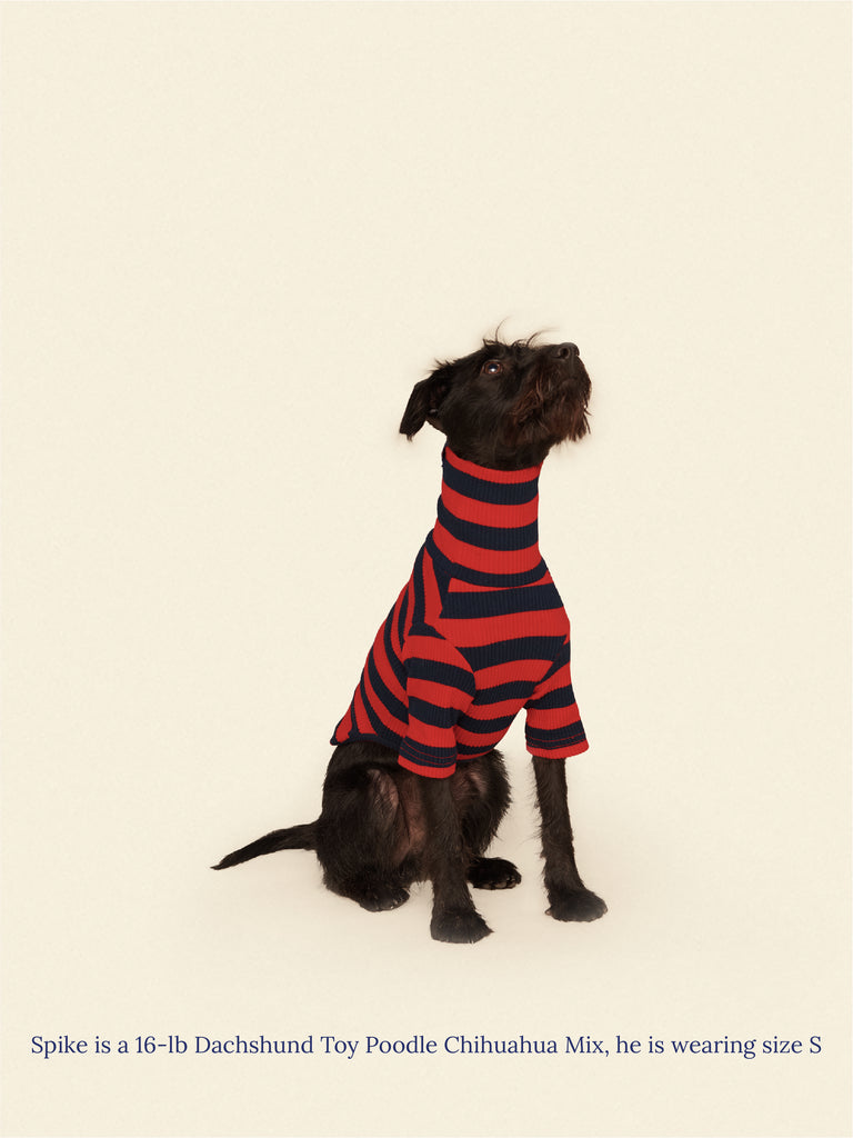 Little Beast Dog Shirt Ivy League Shirt