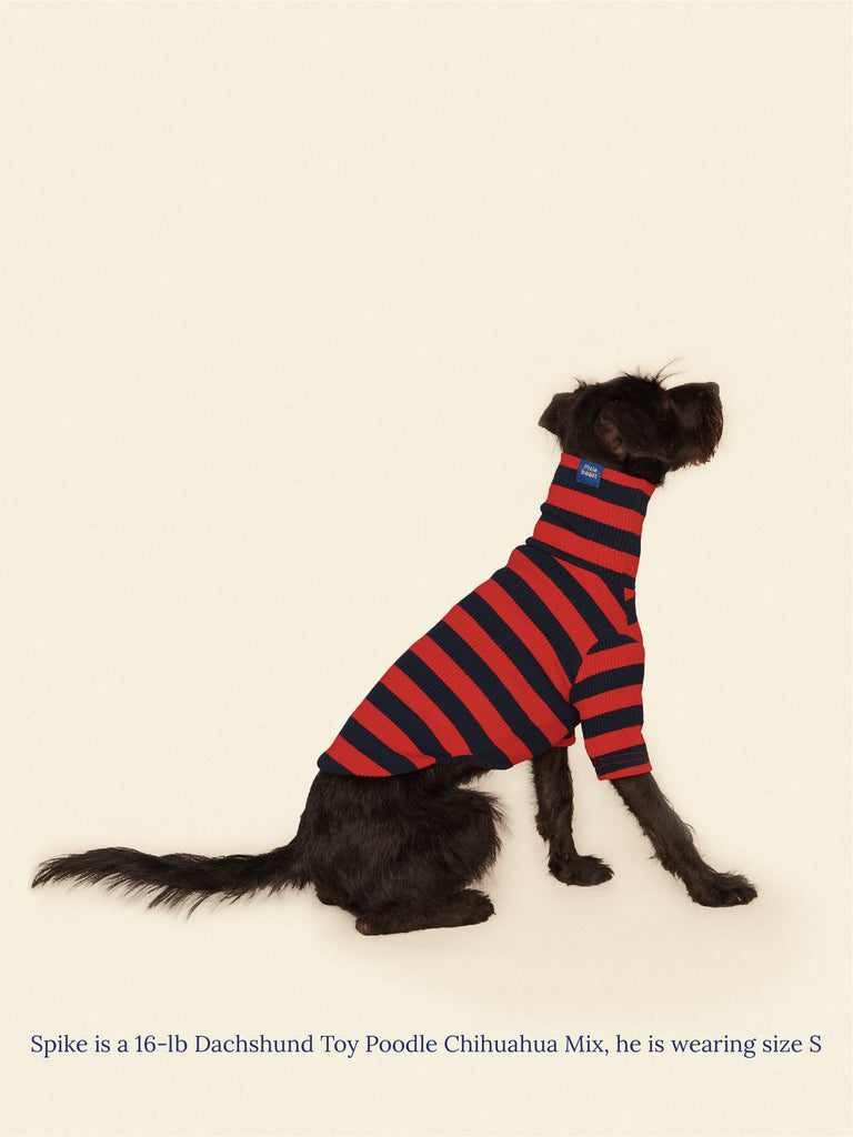 Little Beast Dog Shirt Ivy League Shirt