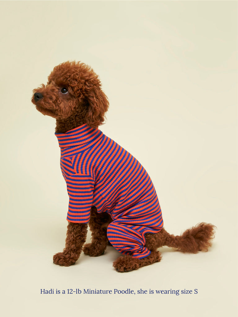 Little Beast Orange Blue / XXS Knickerbocker Onesie