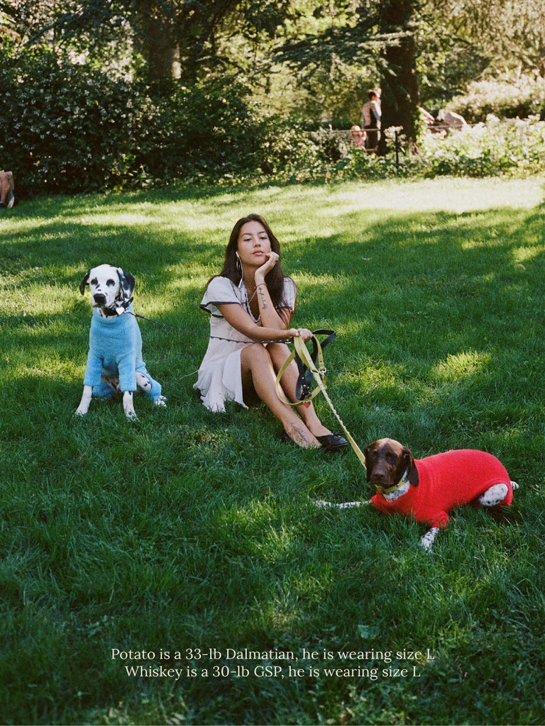 Little Beast Dog Sweater Knit Onesie - Blue
