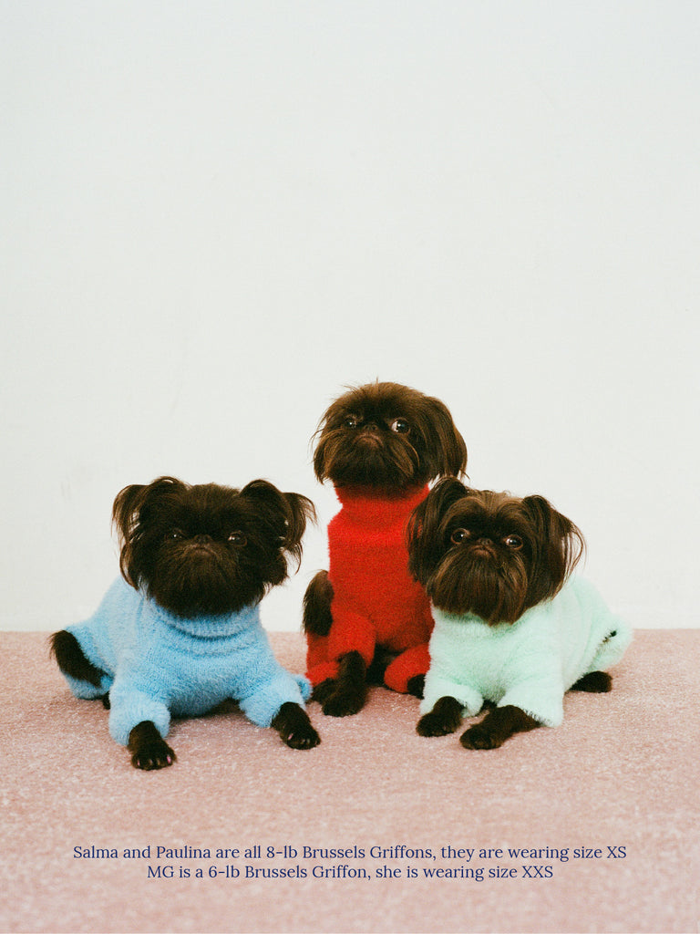 Little Beast Dog Sweater Knit Onesie - Mint