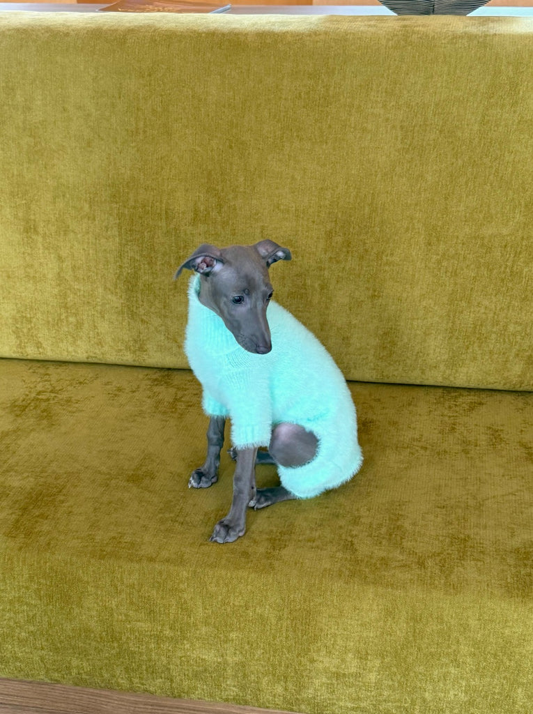 Little Beast Dog Sweater Knit Onesie - Mint