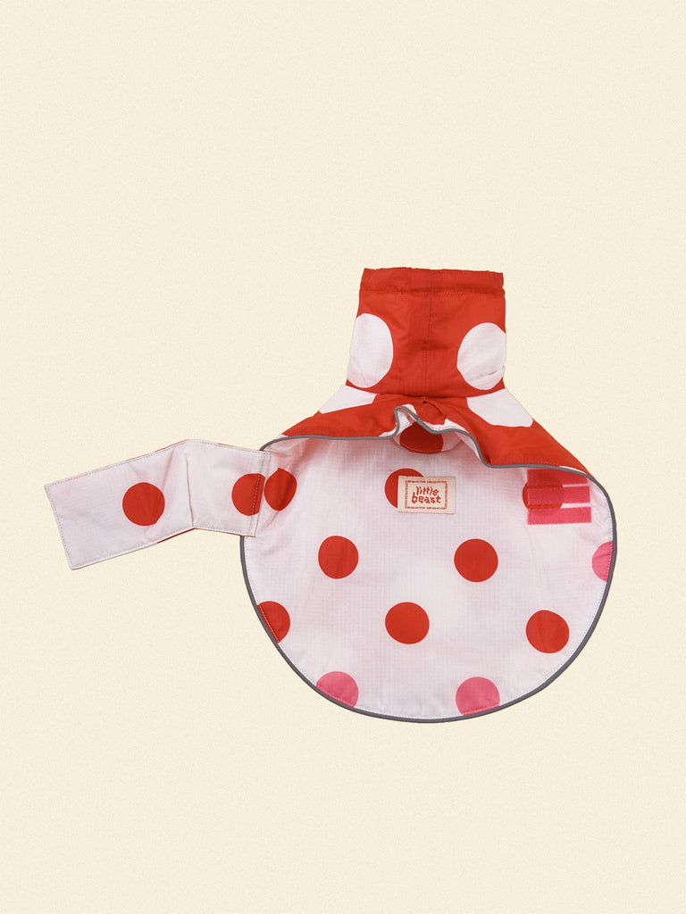 Little Beast Dog Raincoat Ladybug Raincoat