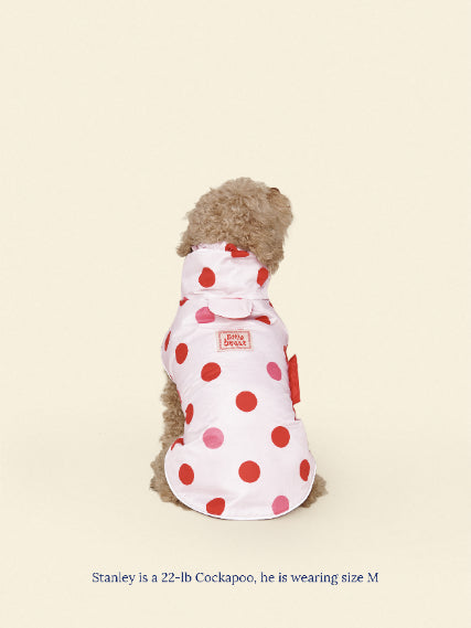 Little Beast Dog Raincoat Ladybug Raincoat