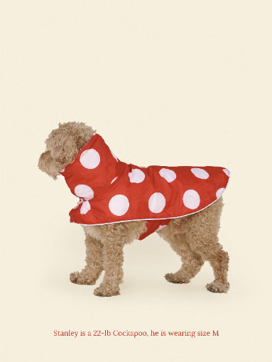 Little Beast Dog Raincoat Ladybug Raincoat