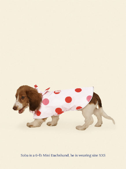 Little Beast Dog Raincoat Ladybug Raincoat