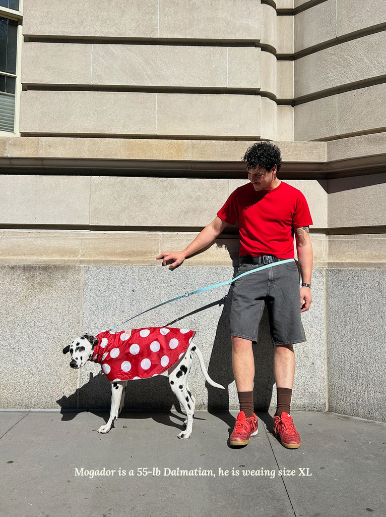 Little Beast Dog Raincoat Ladybug Raincoat