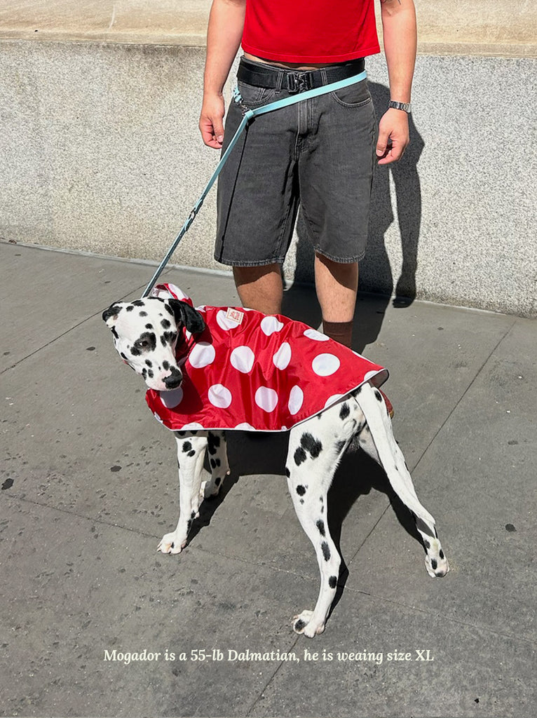 Little Beast Dog Raincoat Ladybug Raincoat
