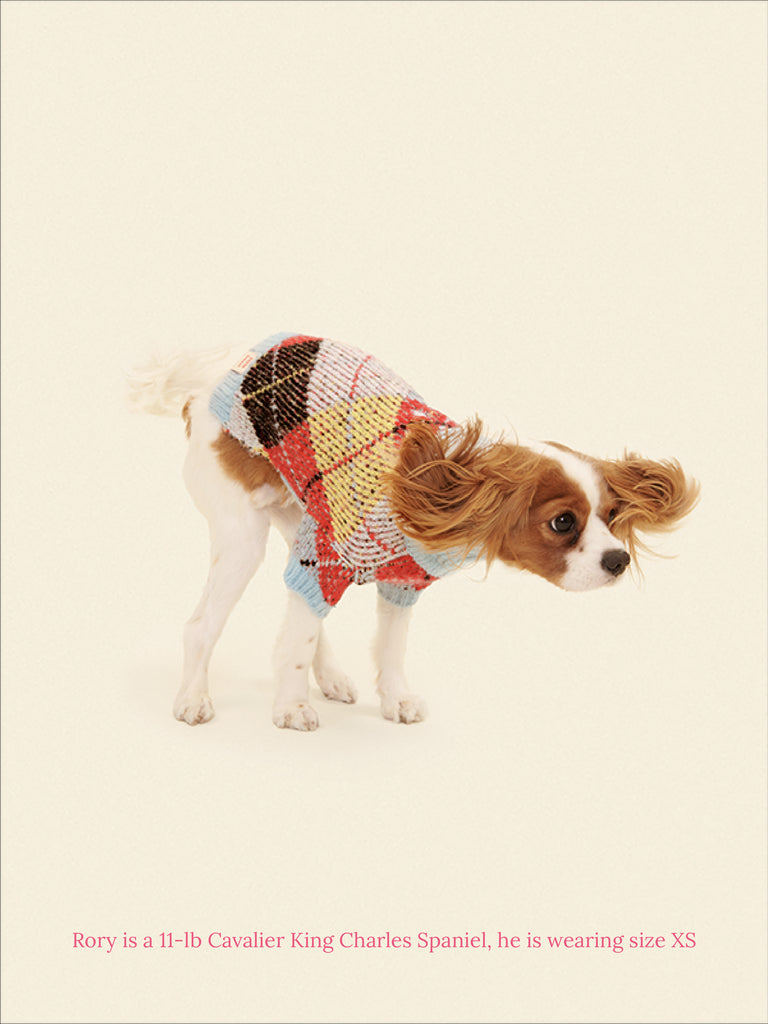 Little Beast Dog Sweater Lauda Argyle x Lisa Says Gah