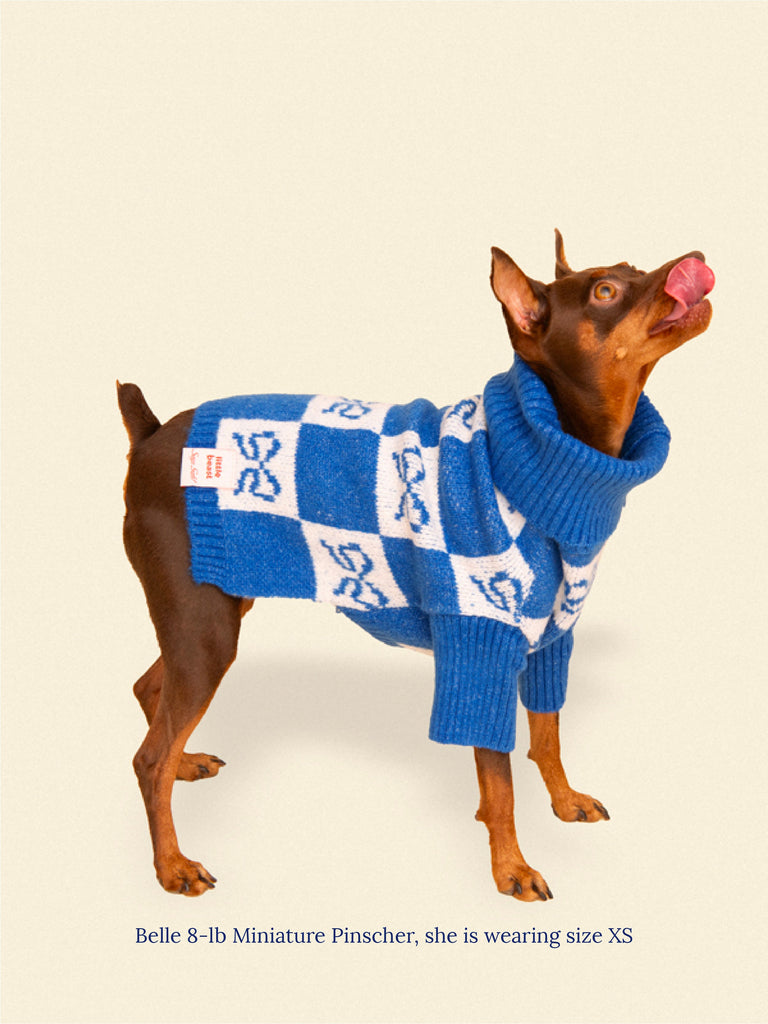 Little Beast Dog Sweater Lauda Cardi X Lisa Says Gah