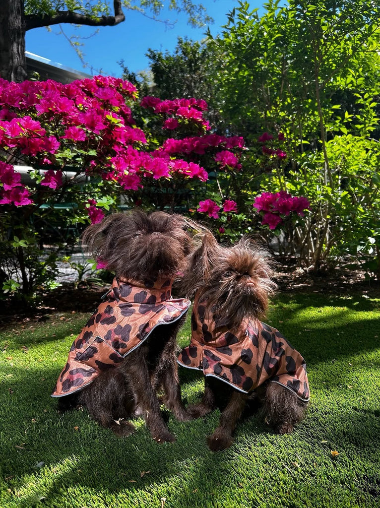 Little Beast Little Beast Cougar Raincoat