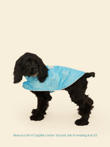 Little Beast Little Beast Cougar Raincoat
