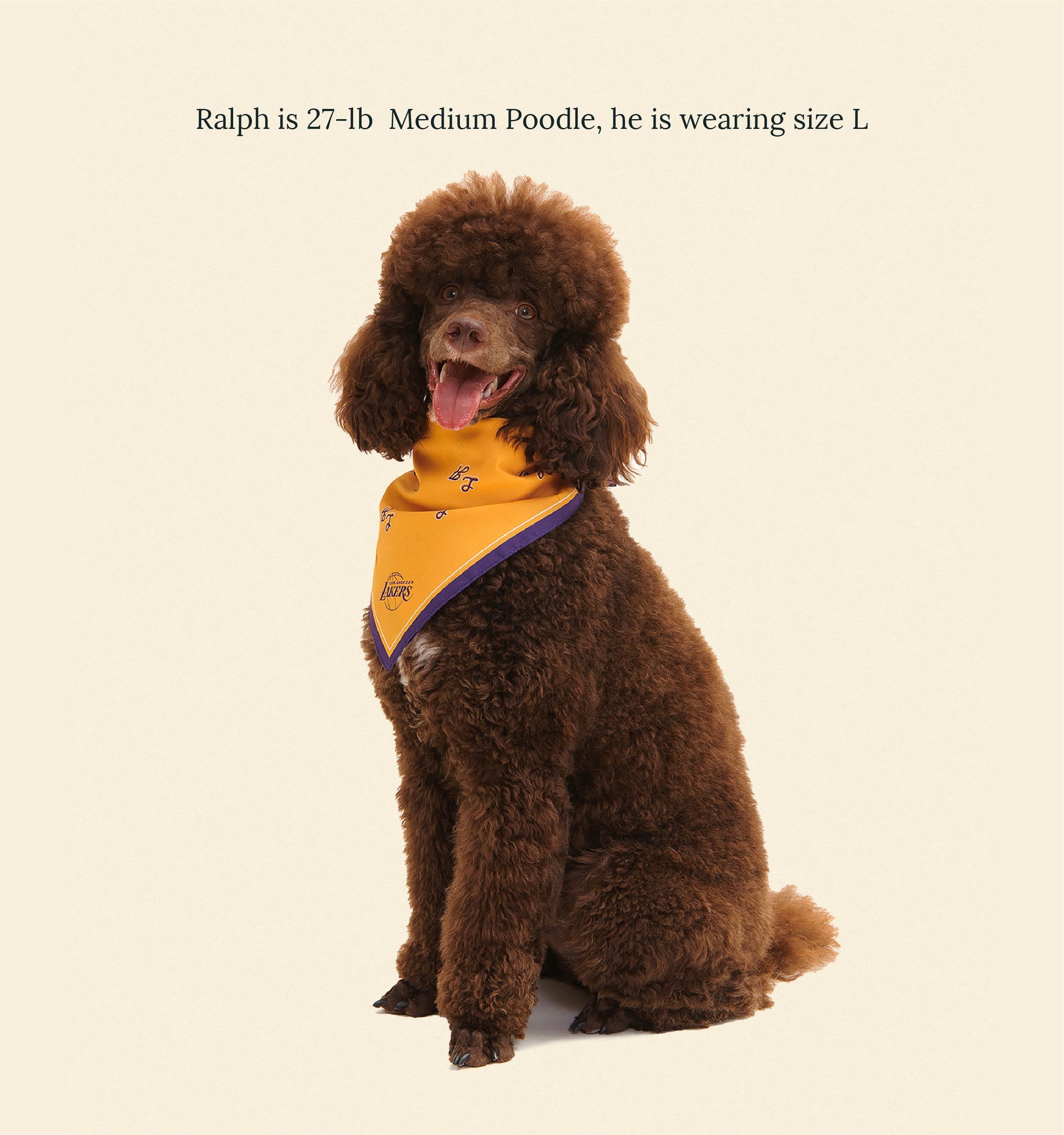 Little Beast Dog Bandana Los Angeles Lakers Bandana - NBA