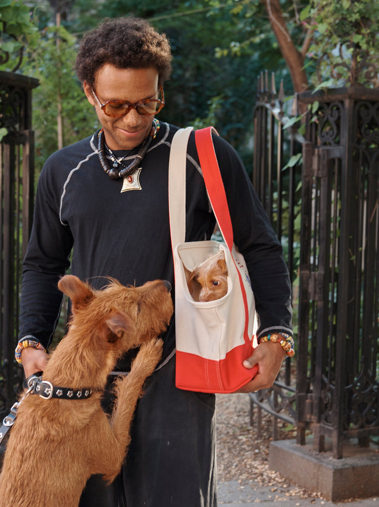 Little Beast Dog Carrier ONE SIZE Love Drives Me Crazy Canvas Tote - PEANUTS