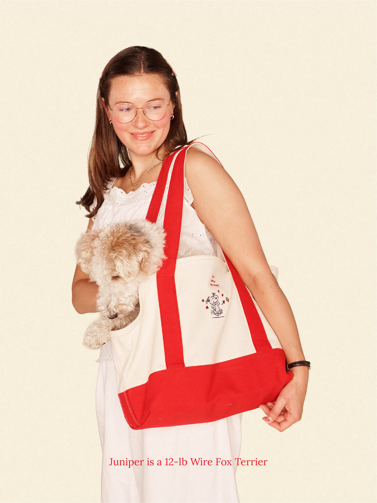 Little Beast Dog Carrier ONE SIZE Love Drives Me Crazy Canvas Tote - PEANUTS