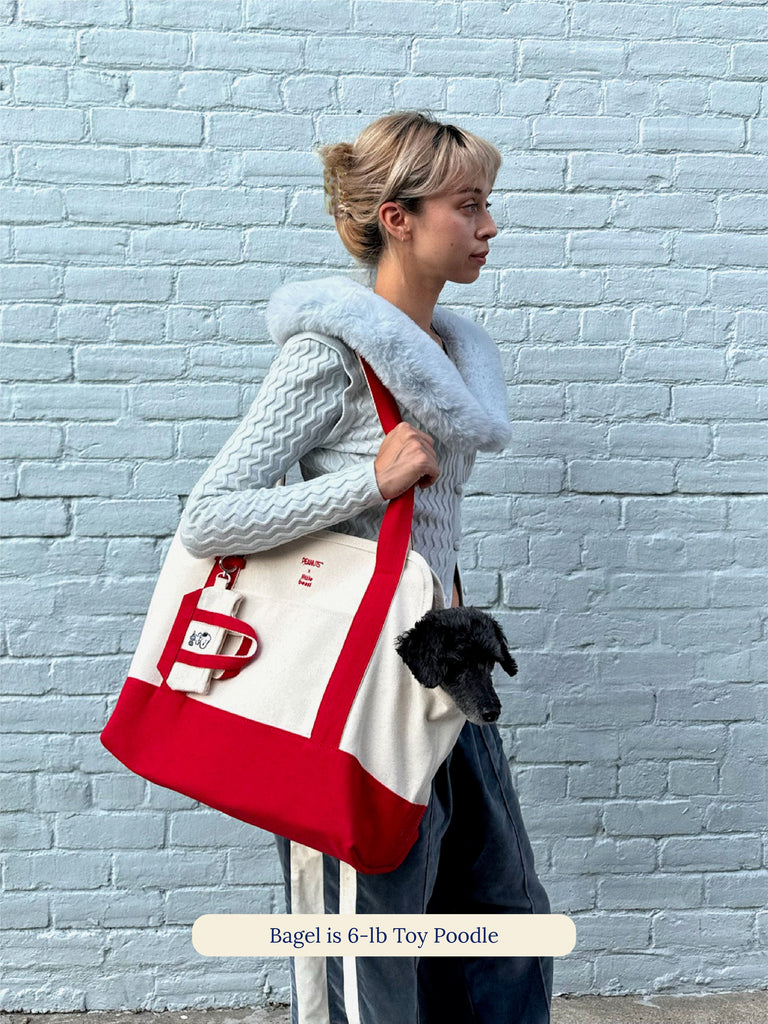 Little Beast Dog Carrier ONE SIZE Love Drives Me Crazy Canvas Tote - PEANUTS