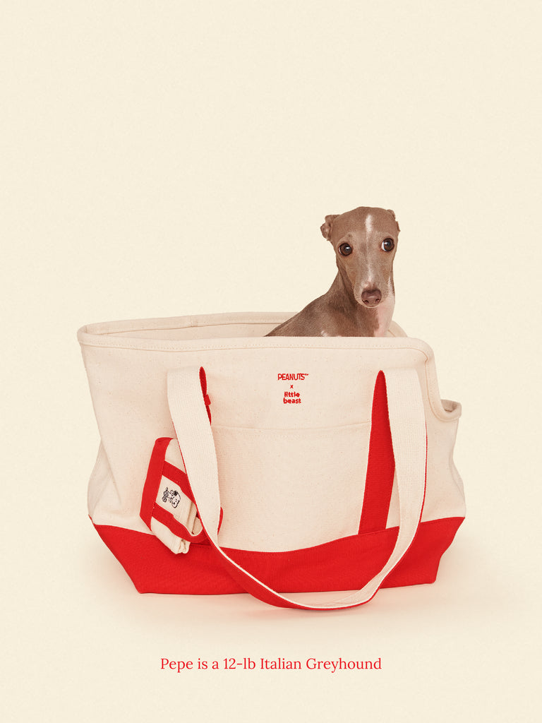 Little Beast Dog Carrier ONE SIZE LOVE DRIVES ME CRAZY - PEANUTS
