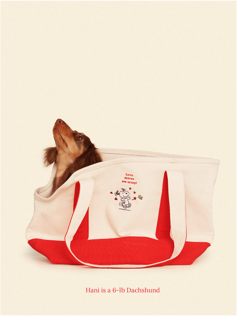 Little Beast Dog Carrier ONE SIZE LOVE DRIVES ME CRAZY - PEANUTS