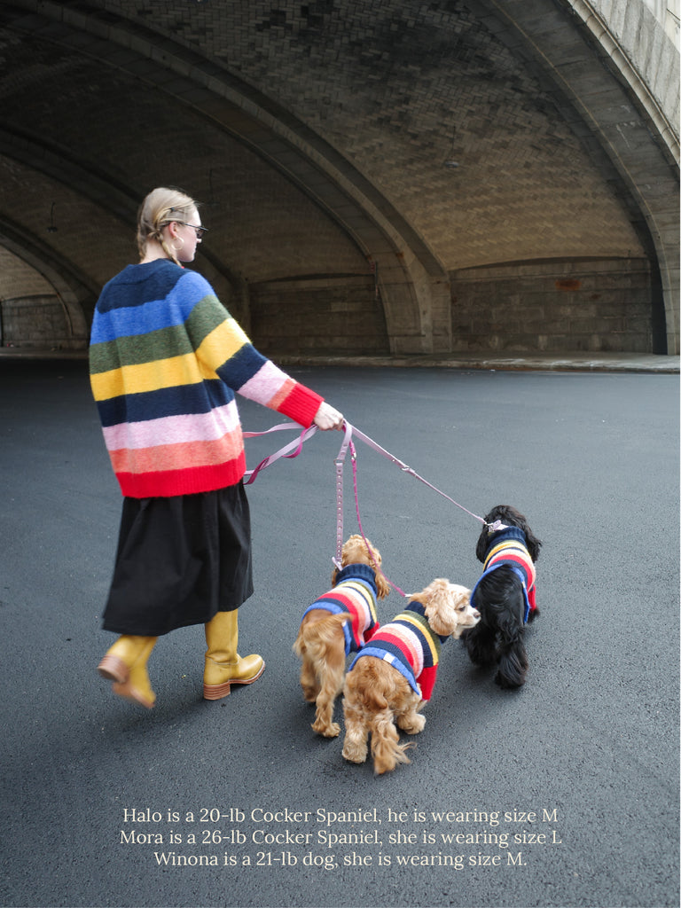 Little Beast Dog Sweater LSG Sweater - Rainbow