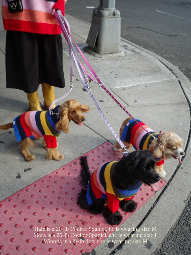 Little Beast Dog Sweater LSG Sweater - Rainbow