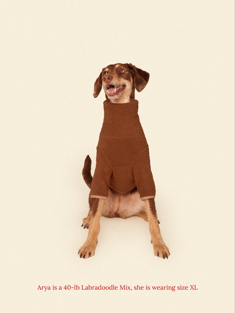 Little Beast Dog Fleece Shirt Magic Brownie Fleece Shirt