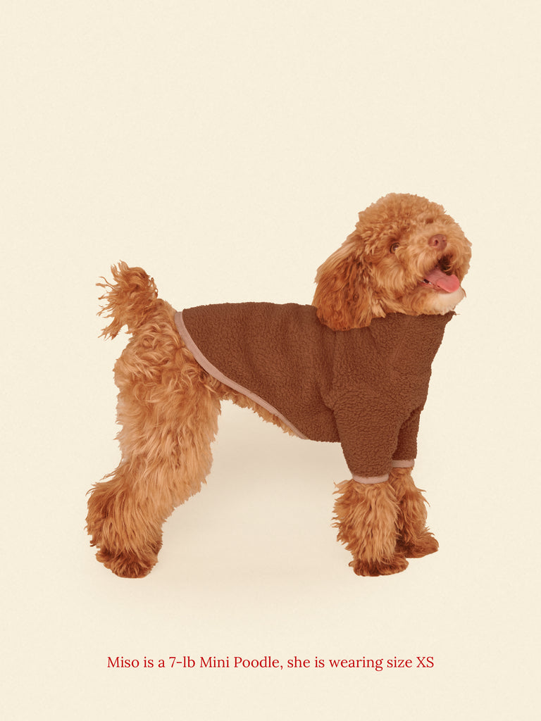 Little Beast Dog Fleece Shirt Magic Brownie Fleece Shirt