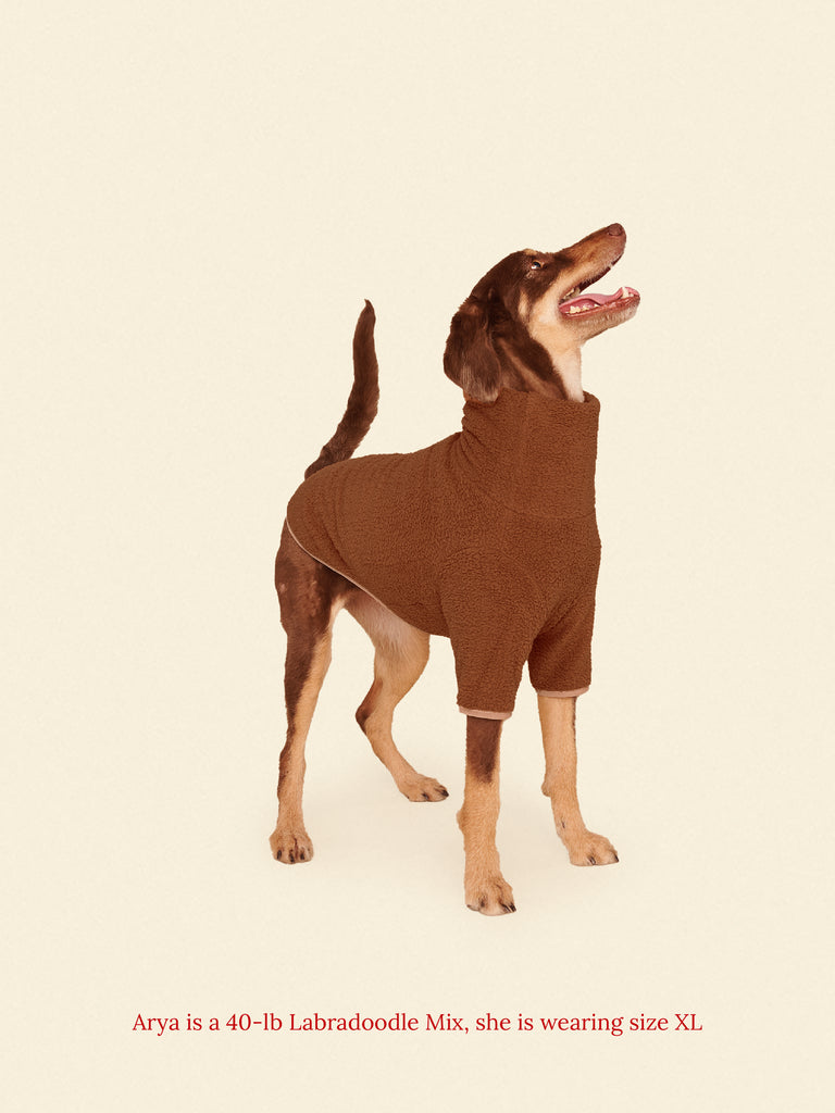 Little Beast Dog Fleece Shirt Magic Brownie Fleece Shirt