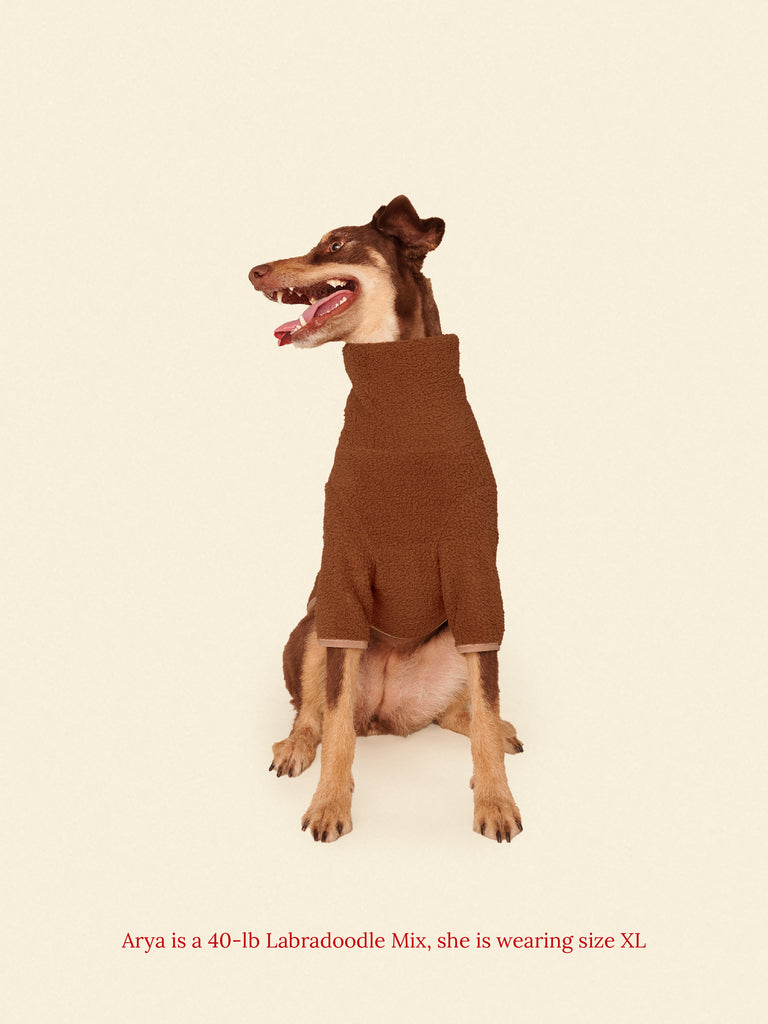 Little Beast Dog Fleece Shirt Magic Brownie Fleece Shirt
